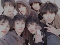 深入了解 大象电脑网页版